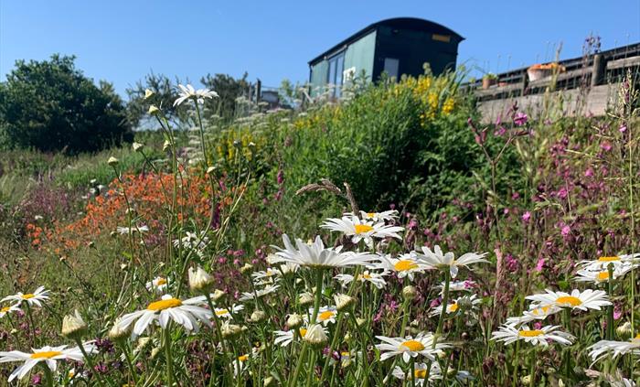 Gardens by Jeni Arnold